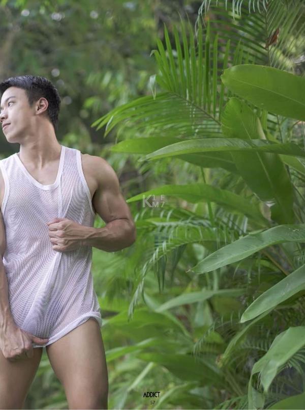 Addict--The-Premium-Issue